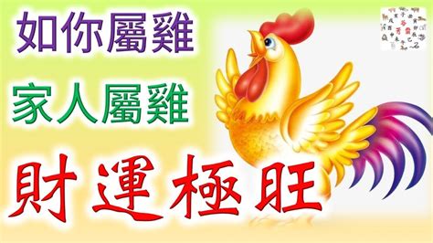 屬雞的年次|屬雞今年幾歲｜屬雞民國年次、雞年西元年